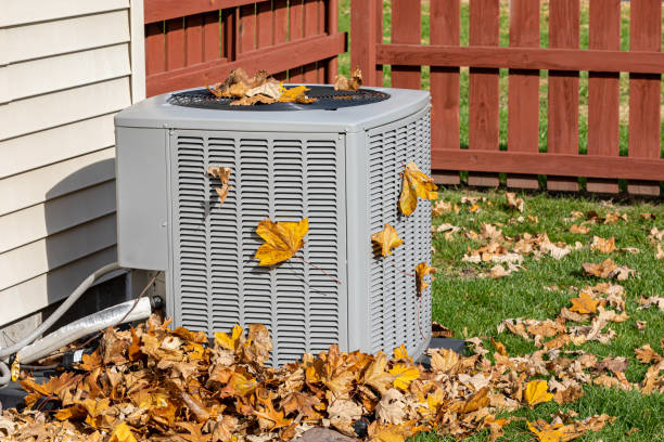 Best HVAC air duct cleaning  in Brownlee Park, MI