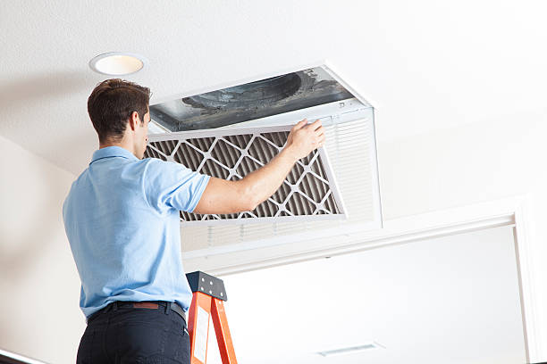 Best Affordable HVAC services  in Brownlee Park, MI
